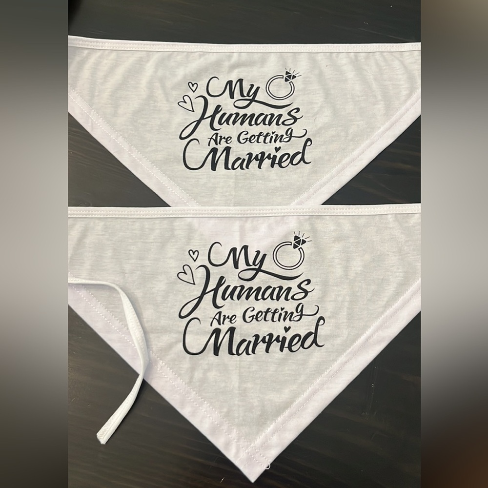 Pet wedding bandana
